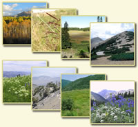 Eight picture monatage of unique plant communities.