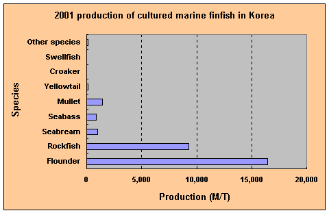 Bar graph of 2001 production proportion of cultured marine finfish in Korea. Total production = 29,297 MT, 