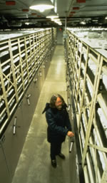 man standing between two long rows of seed racks in a seed bank.