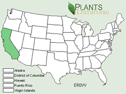 USDA NRCS PLANTS Database range map for Eriogonum ovalifolium ssp. vineum.