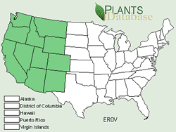 USDA NRCS PLANTS Database range map for Eriogonum ovalifolium.
