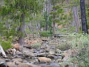 Josephine Creek, Siskiyou National Forest.