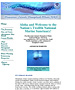 Hawaiian Islands Humpback Whale national marine sanctuary page