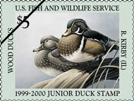 Junior Duck Stamp