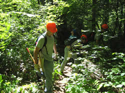 4 YCC crew in hardhats clearing brush from the McKenzie River Trail