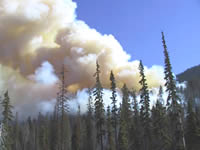 photo of smoke plume from B&B Fire in 2003