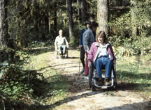 Accessible trail at Clark Creek 
