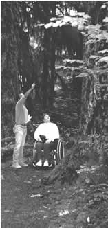 photo of person in wheelchair on trail looking up at tall trees