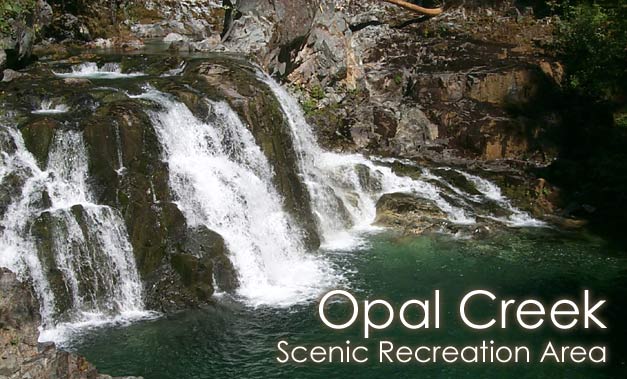 [photo] waterfall at opal creek