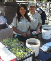 [Photograph]: Two girls with tree seedlings.