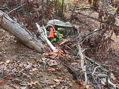 flag representing the approximate location of the victim's head