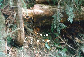 Figure 5. Victim’s position below log