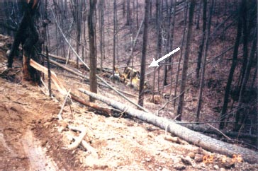 Figure 4. The arrow points to the skidder's final resting place.