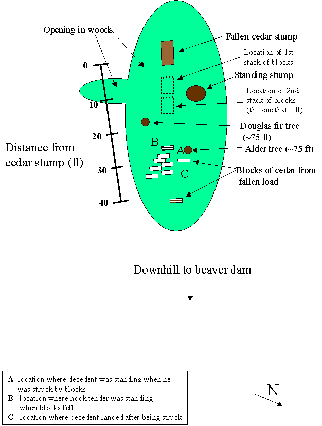 diagram of the site layout