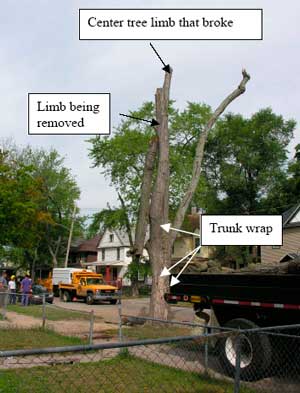 Figure 3. Overview of worksite: trunk wrap, suspended limb.