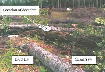 Decedent, hardhat and chainsaw location