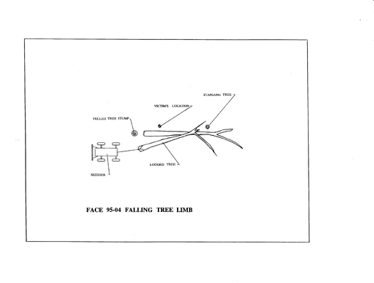 diagram of the falling tree limb