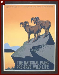 The National Parks Preserve Wild Life, between 1936 and 1939