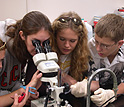 Students using a microscope