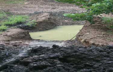 Location where bulldozer and operator were found.