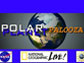 Polar-Palooza logos