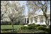Tulip beds and the ‘Katherine’ crab apple tree are seen in bloom outside the Cabinet Room and along the White House Rose Garden, April 10, 2007. White House photo by Joyce Boghosian 