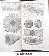 Hailstones from Philosophical experiments and observations of the late eminent Dr. Robert Hooke ... : and other eminent virtuoso's [sic] in his time ; with copper plates publish'd by W. Derham, F.R.S., London, 1726