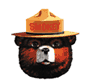 [Graphic]: Smokey Bear with link to official web site.