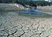 Mosaic patterns of parched soil are left behind as water sources dry up