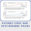 Futures Strip and Spot/Bidweek Prices