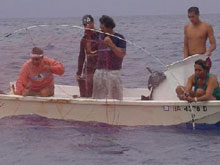 Fishing in an MPA.