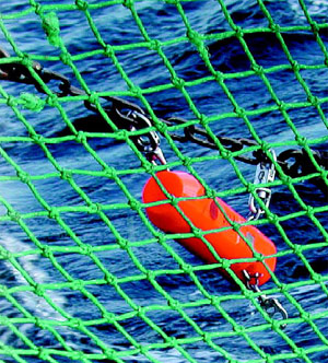Net mensuration gear used to measure net dimension during the 2000 U.S. West Coast groundfish survey 