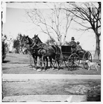Gen. Ingalls Buggy and Span of Horses