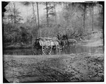 Mule team crossing a brook
