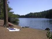 [Photograph]: Beach at Upper Letts Lake.