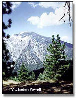 [Photograph]: Mount Baden Powell as viewed through the trees from a nearby ridge.