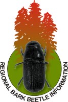 bark beetle logo