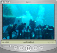 Gazebo Webcam — Select Broadband or Dial–up