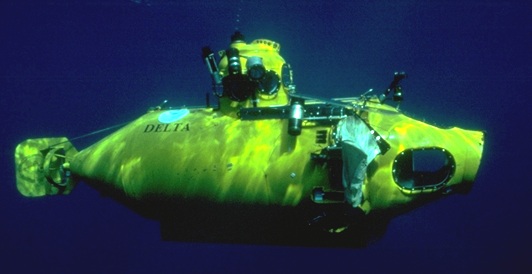 Image of Delta submersible