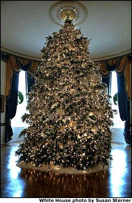 The centerpiece of the Blue Room is the offical White House Christmas Tree. Grown in central Pennsylvania, the 18-foor Concolor fir was donated by Bowersox family. White House photo by Susan Sterner.