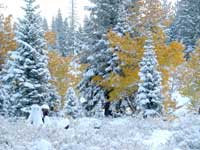 Lassen National Forest Fall Image 2007 - Photo Credit: Jason Flaherty