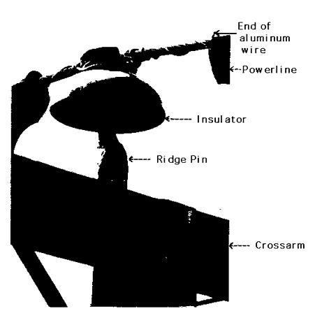 insulator and powerline connection