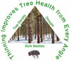 Thinning improves forest health