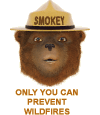 Smokey's message: Only You Can Prevent Wildfires.