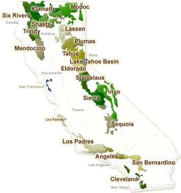 A map representing the state of California displaying forest boundaries and names, and the labels of several large cities.
