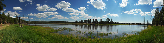 A panoramic view of Scholz Lake