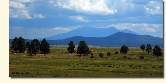 View of San Francisco Peaks from Garland Prarie