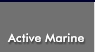 Active Marine