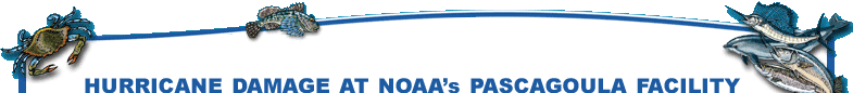 NOAA Fisheries Feature