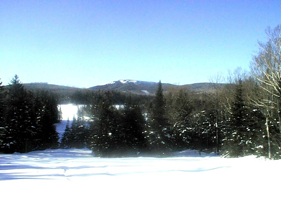 Photo of Long Pond from North-South Road.